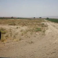 فروش-زمین-صنعتی-سندتک-برگ