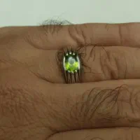 انگشتر زبرجد قدیمی و پاگ|جواهرات|بندرعباس, |دیوار