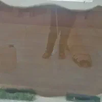 شیشه دودی ضخیم ده میل / ناهارخوری