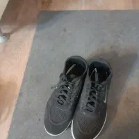 کفش زنانه|کیف، کفش، کمربند|ماهان, |دیوار