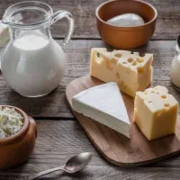 محصولات لبنی ارگانیک ( دهکده )