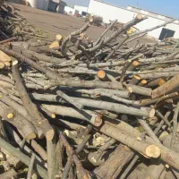 خریدوفروش انواع چوب درختان مجاز|خدمات باغبانی و درختکاری|الشتر, |دیوار