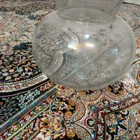 تنگ بزرگ ماهی