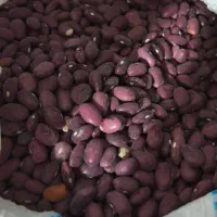 حبوبات وکلی وسایل دیگه دارم