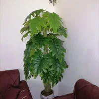 درختچه مصنوعی 3 تنه بلند 2 متری