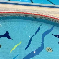 آموزش شنا ( تخصصی )