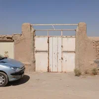 باغ انگوری نزدیک شهر