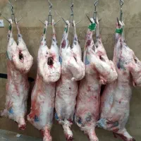 قصاب.سلاخ.بیخسی