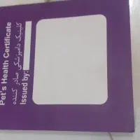 سگ تربیت شده شناسنامه دار|سگ|پاکدشت, پاکدشت (مامازند)|دیوار