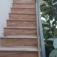 گل گیاه|گل و گیاه طبیعی|مشهد, شهرک صنعتی توس|دیوار