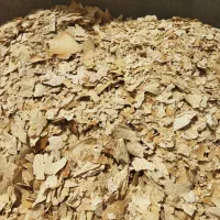 نان گاوی ضایعات نون