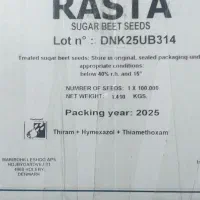 بذر چغندر راستا