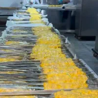 سراشپز غذاهای ایرانی.تخته کاری.کبابی.سیارهستم.