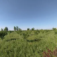 زمین 6500 متر بر جاده سرخ