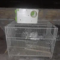 قفس بزرگ لونه
