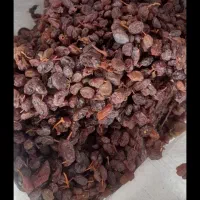 کشمش سرکه ای و آبگیری