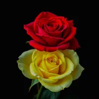 نیازمند پرستار