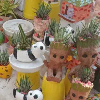 کاکتوس و مجسمه فانتزی برای شرکت ها اداره ها.منازل|گل و گیاه طبیعی|تهران, بازار|دیوار