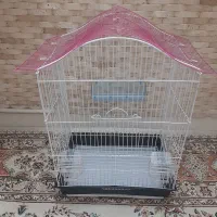 قفس عروس هلندی