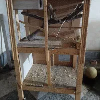 قفس طوطی یا کبوتر