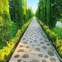 خانم های عزیز این گردش پاییزی رو از دست ندید