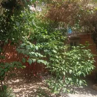 ۱۷۰ متر دوبلکس دربستی حیاط دار مشجر مستغلات|فروش خانه و ویلا|تهران, سلسبیل|دیوار