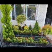 خدمات باغبانی گل کاری تعویض خاک گلدان سمپاشی|خدمات باغبانی و درختکاری|تهران, فرمانیه|دیوار