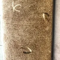 موکت پالاز متری ۲۰۰ زیر قیمت بازار|موکت|سنندج, |دیوار