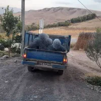 تولیدی فنس هادی(طارم)|عمدهفروشی|چورزق, |دیوار