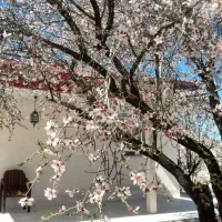 فروش خانه ویلایی ۱۰۰ متری ۲ خوابه