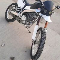 تریل آمیکو مزاعده