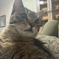 واگذاری بانی خانوم