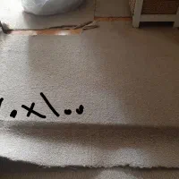 تکه های موکت پالاز رنک کرم نسکافه ای|موکت|تهران, ارامنه|دیوار