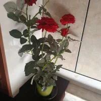 گل مصنوعی