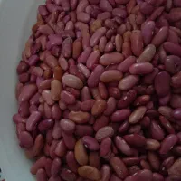 لوبیا قرمز کپسولی