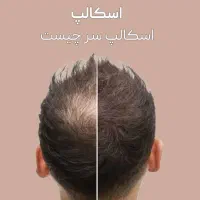 آموزش صفر تاصدتتوی صورت وبدن با قیمت استثنایی|خدمات آموزشی|تربت‌حیدریه, اندیشه|دیوار