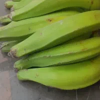 درخت موز|گل و گیاه طبیعی|گرگان, |دیوار