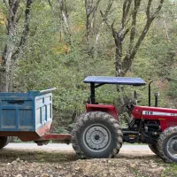 ماسه شسته فیلر بادامی