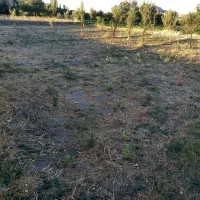 زمین کشاورزی