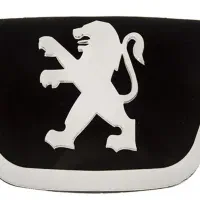 پژو ۲۰۶ فروشی