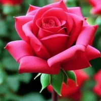 مشاوره و تدریس خصوصی تقویتی و کنکوری