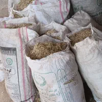 کاه برای فروش