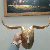 شاخ طبیعی بز نر