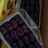 خرما کرمان (بم)
