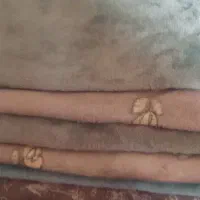 بالشت زیر سری