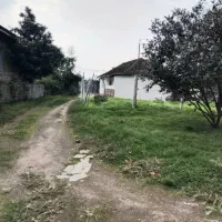 فروش زمین و خانه کلنگی با ۲۰۰نهال کیوی خونی|فروش خانه و ویلا|حویق, |دیوار