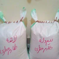 سرلاشه طارم عطری