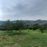 زمین باغی با ویو عالی