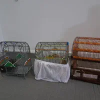 فروش سه عدد قفس دستبافت