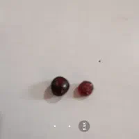 دوعددیاقوت سیلانی اصل|کلکسیون اشیاء عتیقه|برازجان, |دیوار